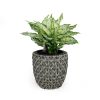 10.6" Self-watering Wicker Planter - Garden Decoration Pot - Gray - Round