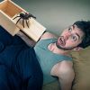 Fake Spider in a Box Prank Halloween Gift for Adults Kids, Wooden Pop Out Scare Joke Toys